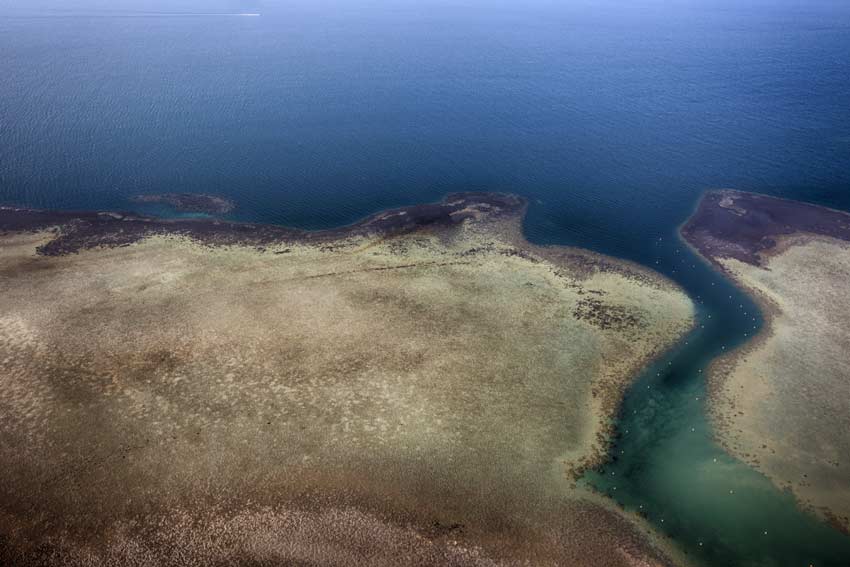 Mer Rouge à Djibouti, Afrique